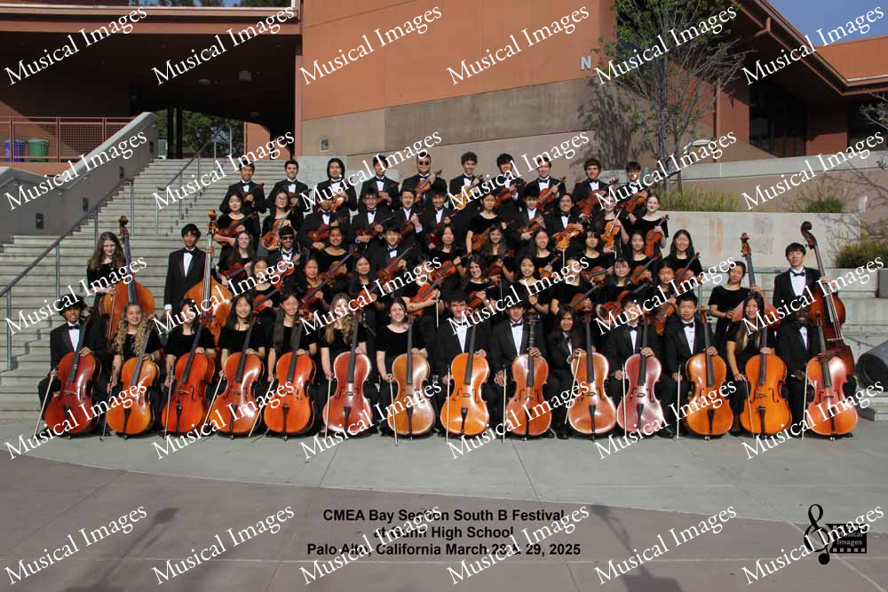 Musical Images